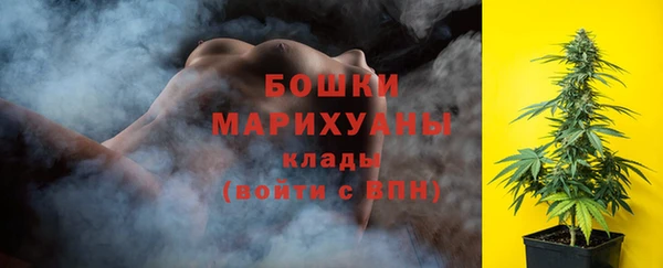 PSILOCYBIN Белокуриха
